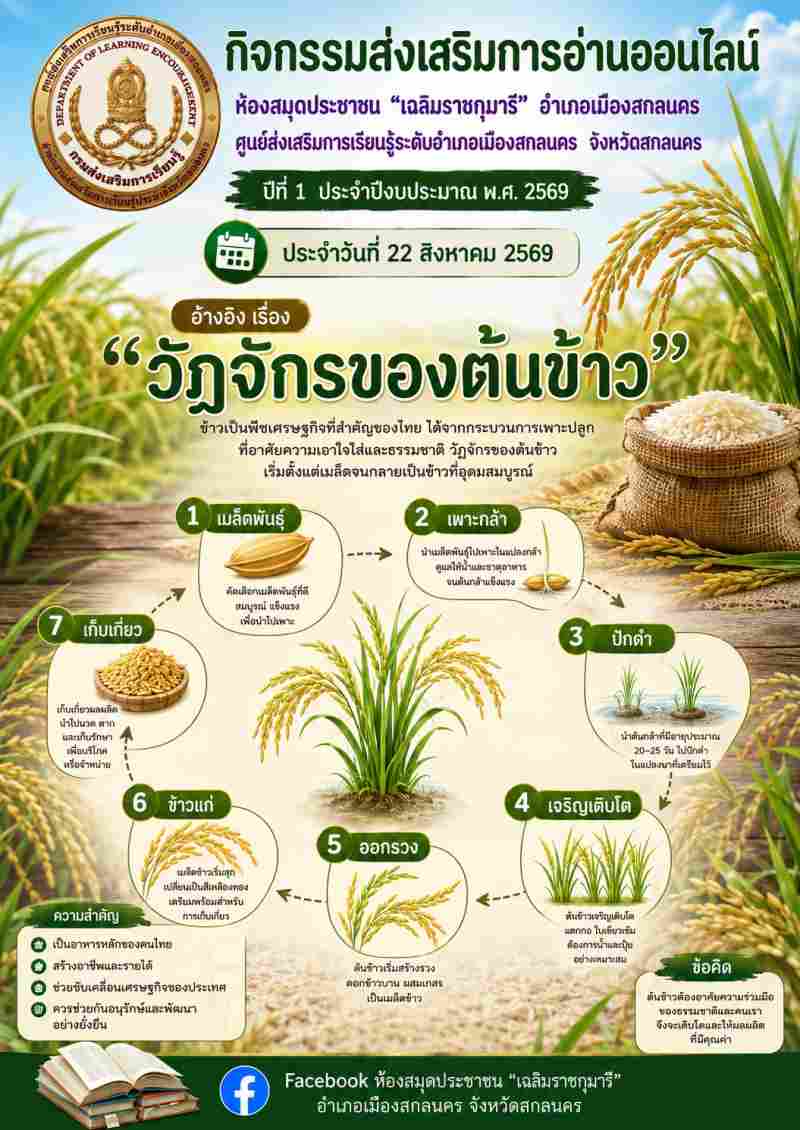 วัฏจักรของต้นข้าว