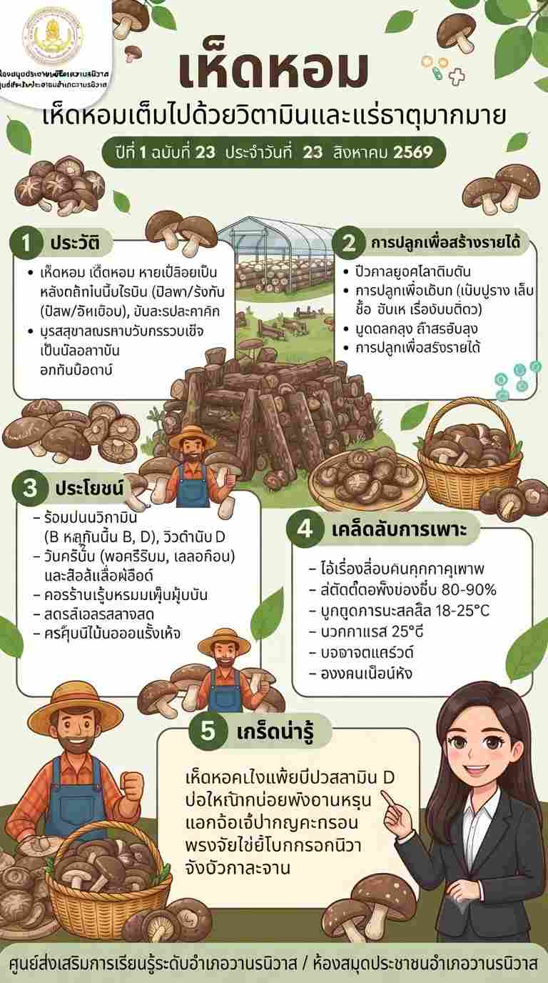 เห็ดหอมอุดมไปด้วยสารอาหาร วิตามิน และกรดอะมิโนที่มีประโยชน์
