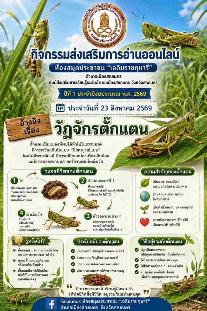 วัฏจักรตั๊กแตน
