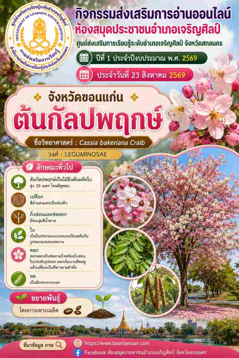 🌸 สวยหวานตระการตา! ทำความรู้จัก "ต้นกัลปพฤกษ์" ไม้มงคลประจำจังหวัดขอนแก่น 🌸✨