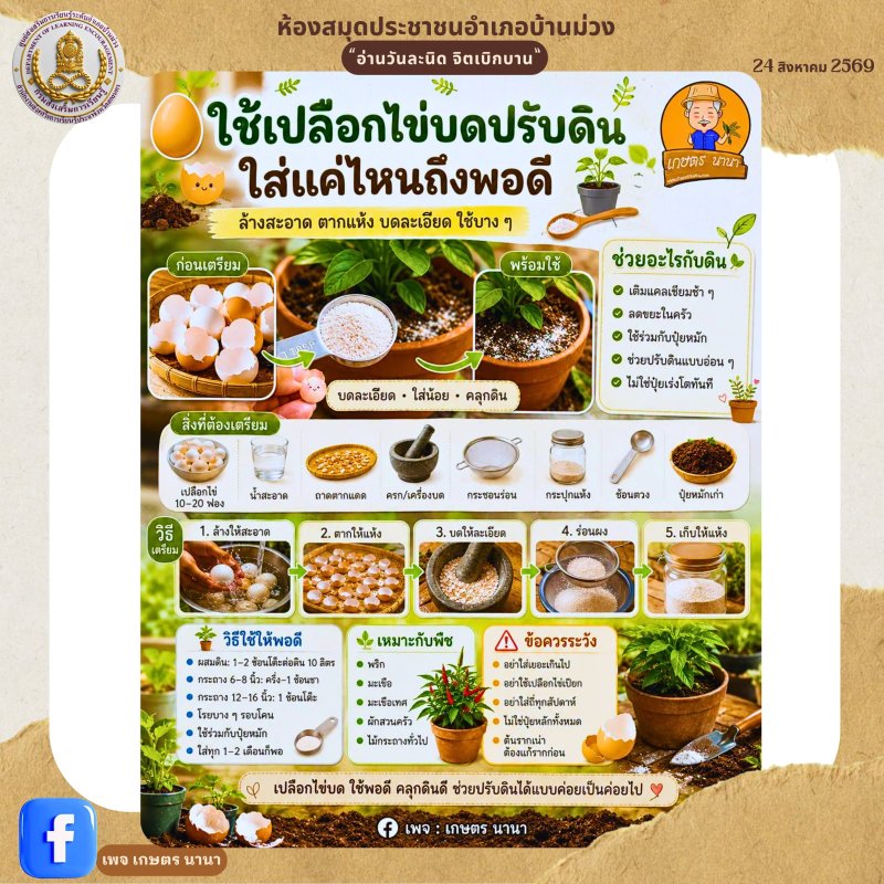 ใช้เปลือกไข่บดปรับดิน ใส่แค่ไหนถึงพอดี