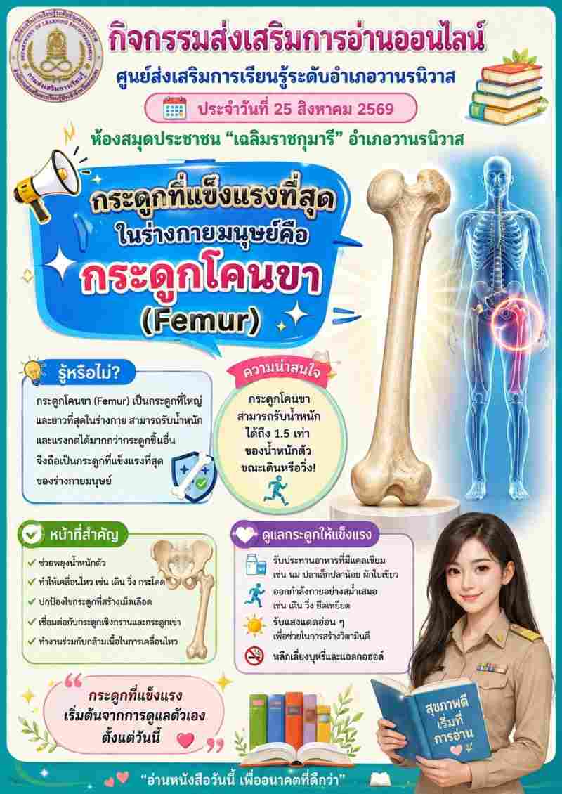 กระดูกมนุษย์ส่วนที่แข็งแรง