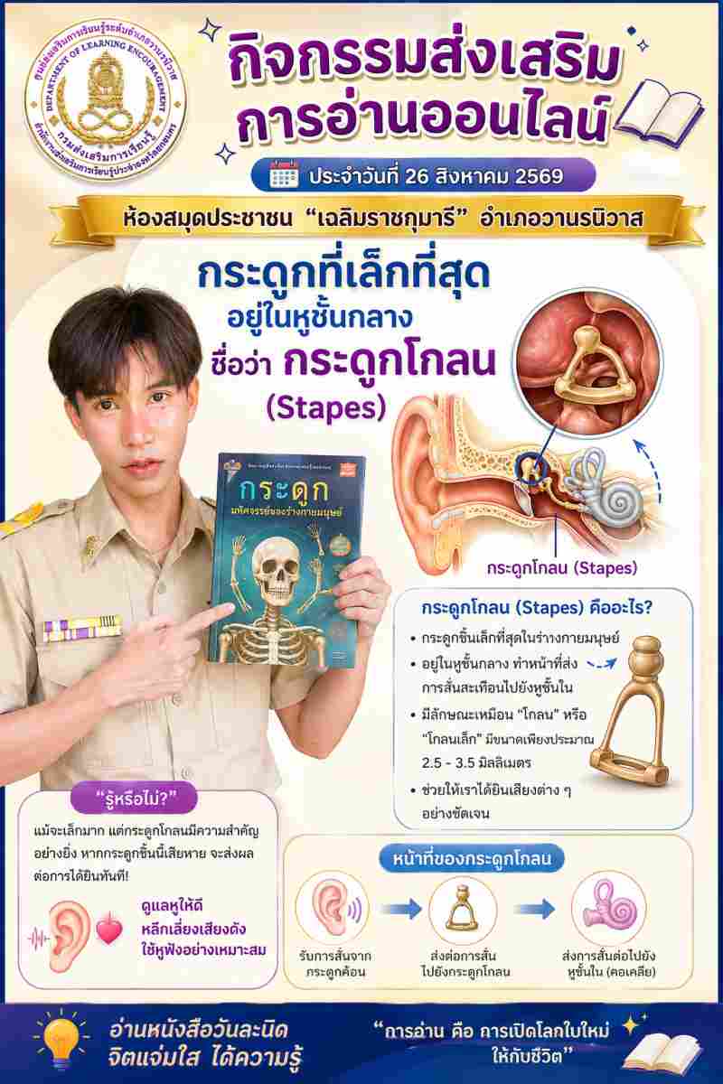  กระดูกที่เล็กที่สุด 