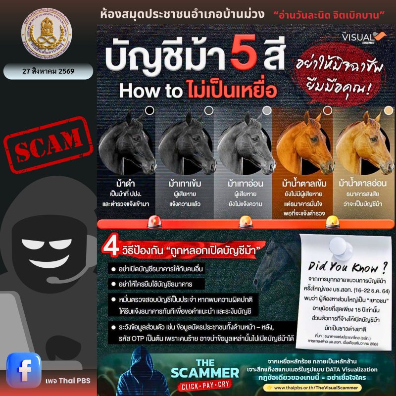 บัญชีม้า 5 สี How to ไม่เป็นเหยื่อ