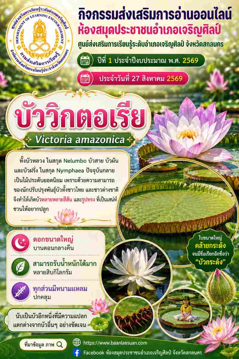 🪷 มหัศจรรย์ใบบัวยักษ์! ทำความรู้จัก "บัววิกตอเรีย" หรือ "บัวกระด้ง" 🪷✨