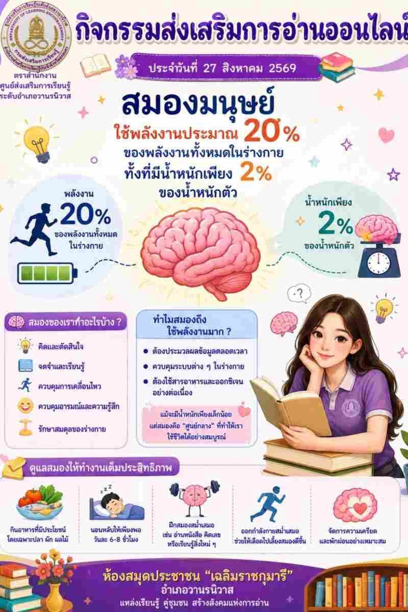 สมองมนุษย์