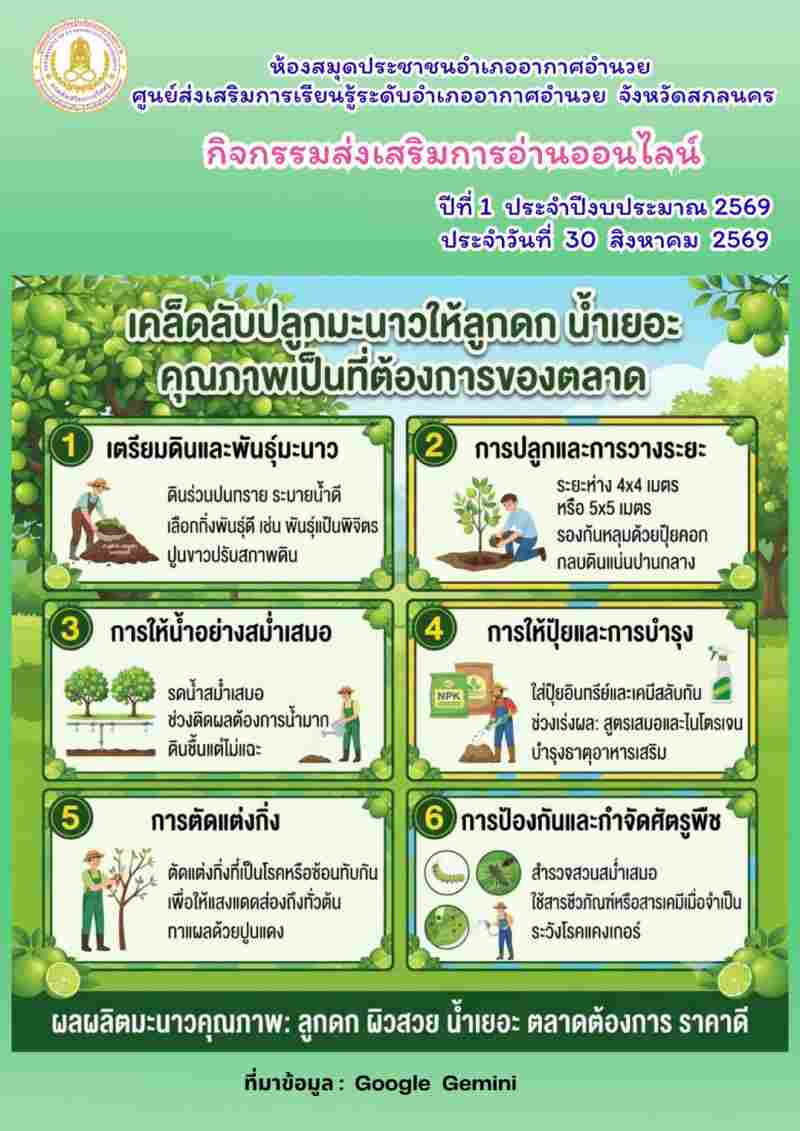 เคล็ดลับปลูกมะนาวให้ลูกดก น้ำเยอะ คุณภาพเป็นที่ต้องการของตลาด
