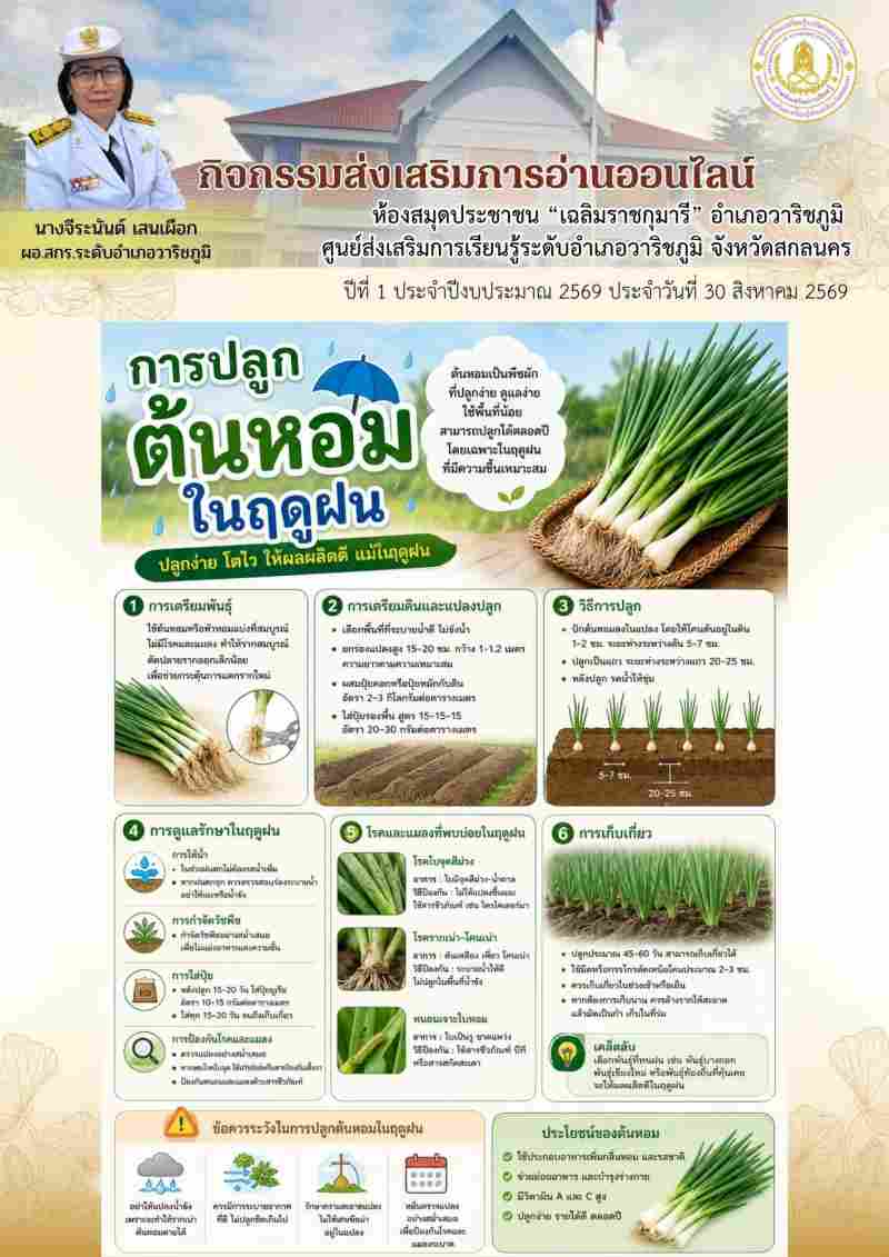 การปลูกต้นหอมในฤดูฝน