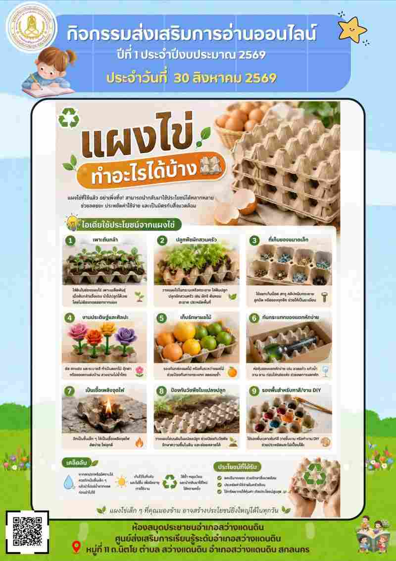 แผงไข่ ทำอะไรได้บ้าง