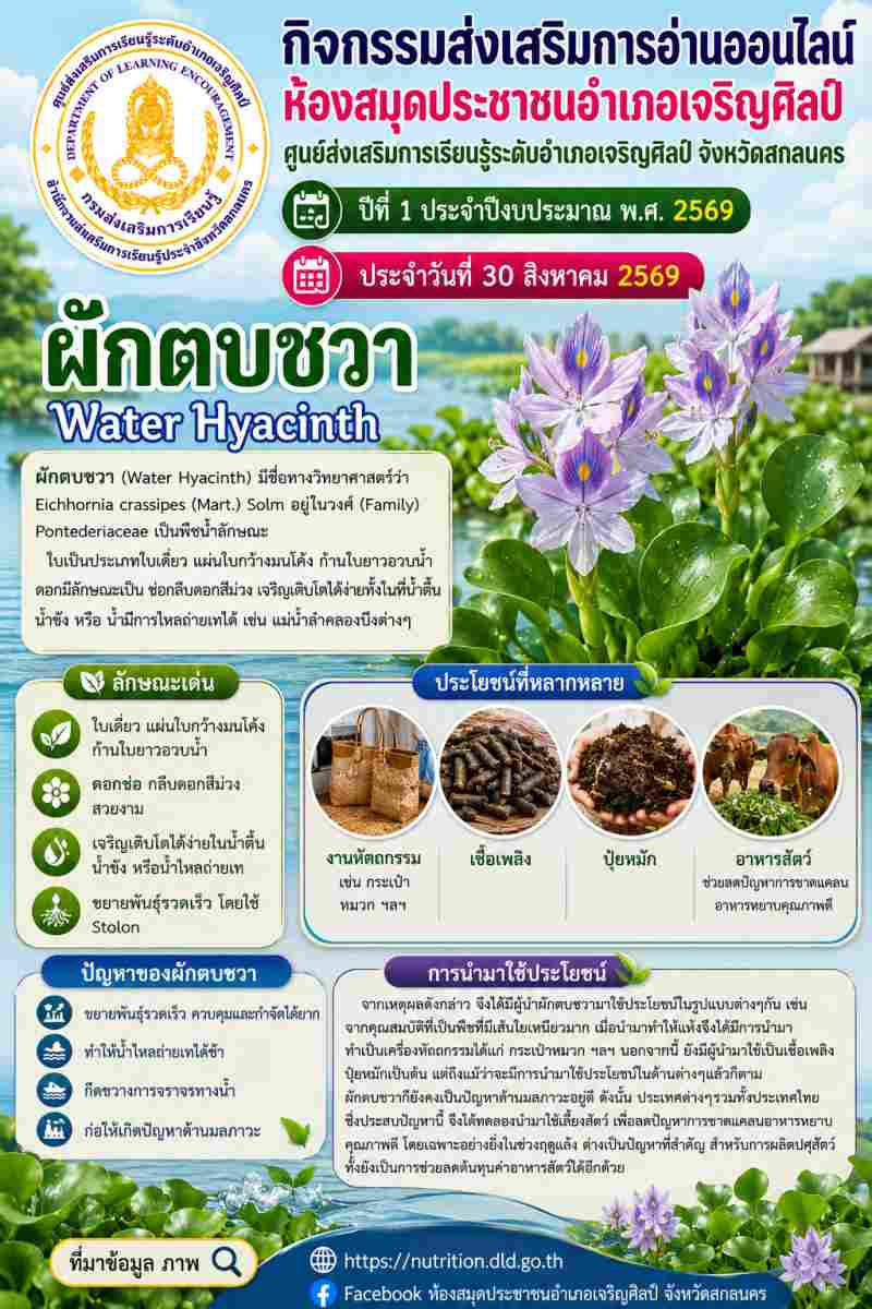 จากวัชพืชสู่งานสร้างสรรค์! ทำความรู้จัก "ผักตบชวา" และการนำมาใช้ประโยชน์ 🧺✨