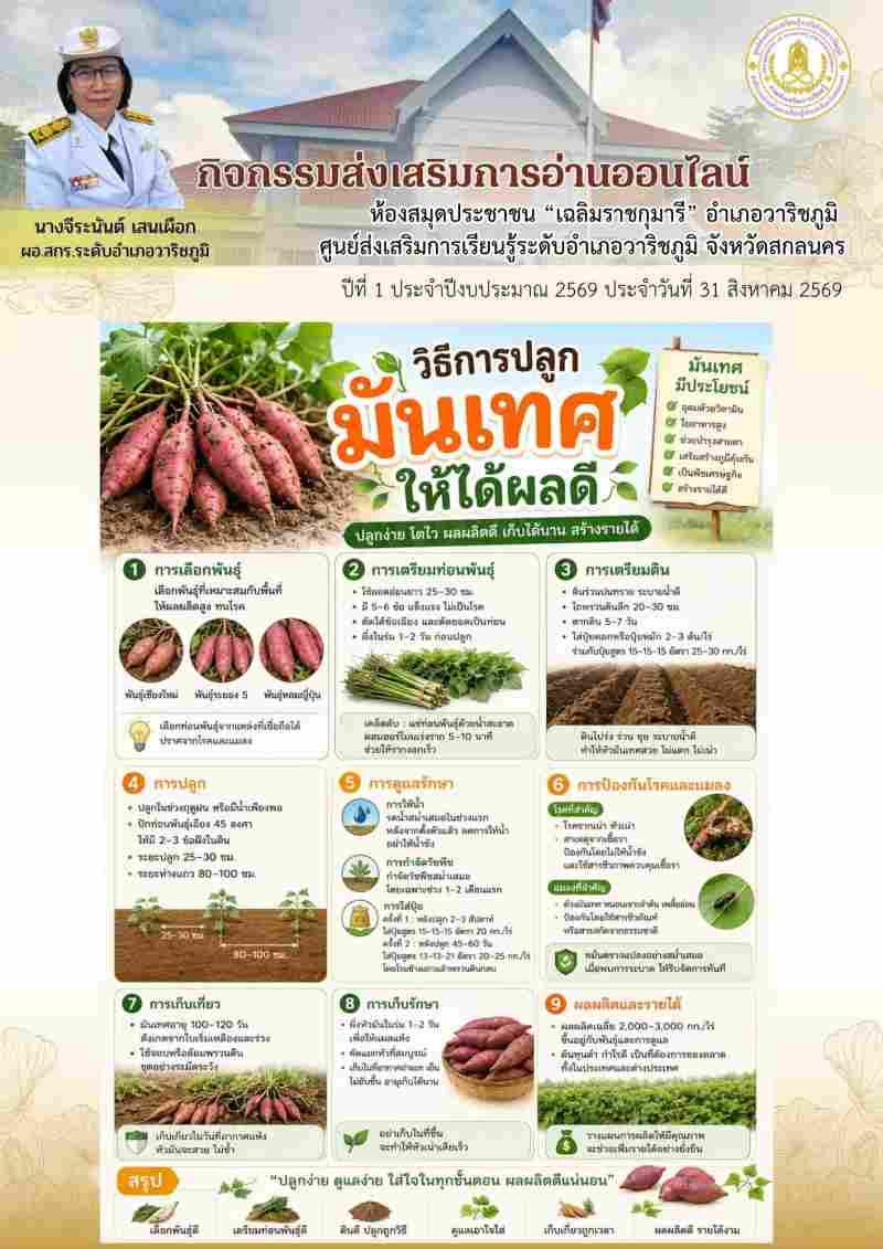 วิธีการปลูกมันเทศให้ได้ผลดี