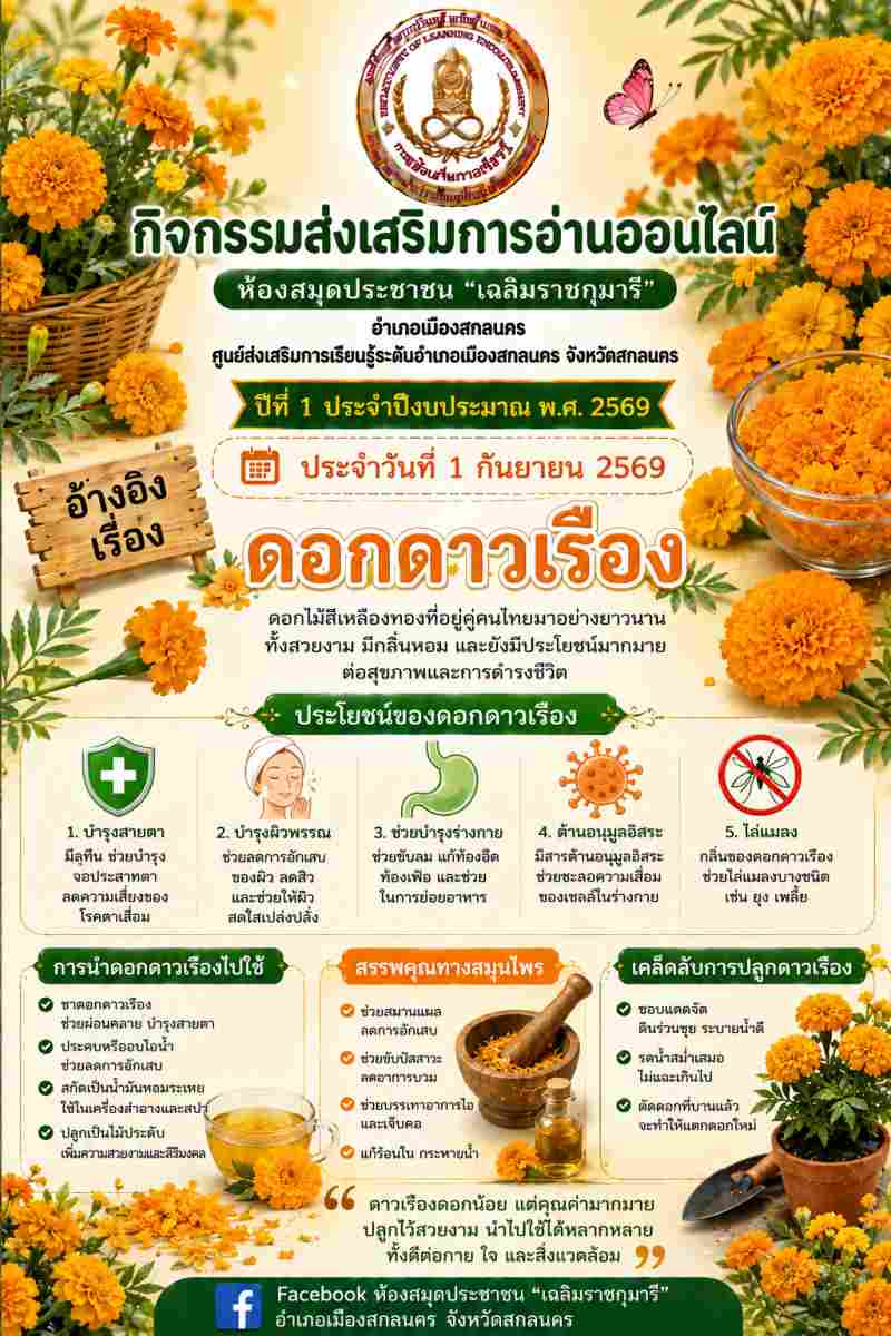 ดอกดาวเรือง 