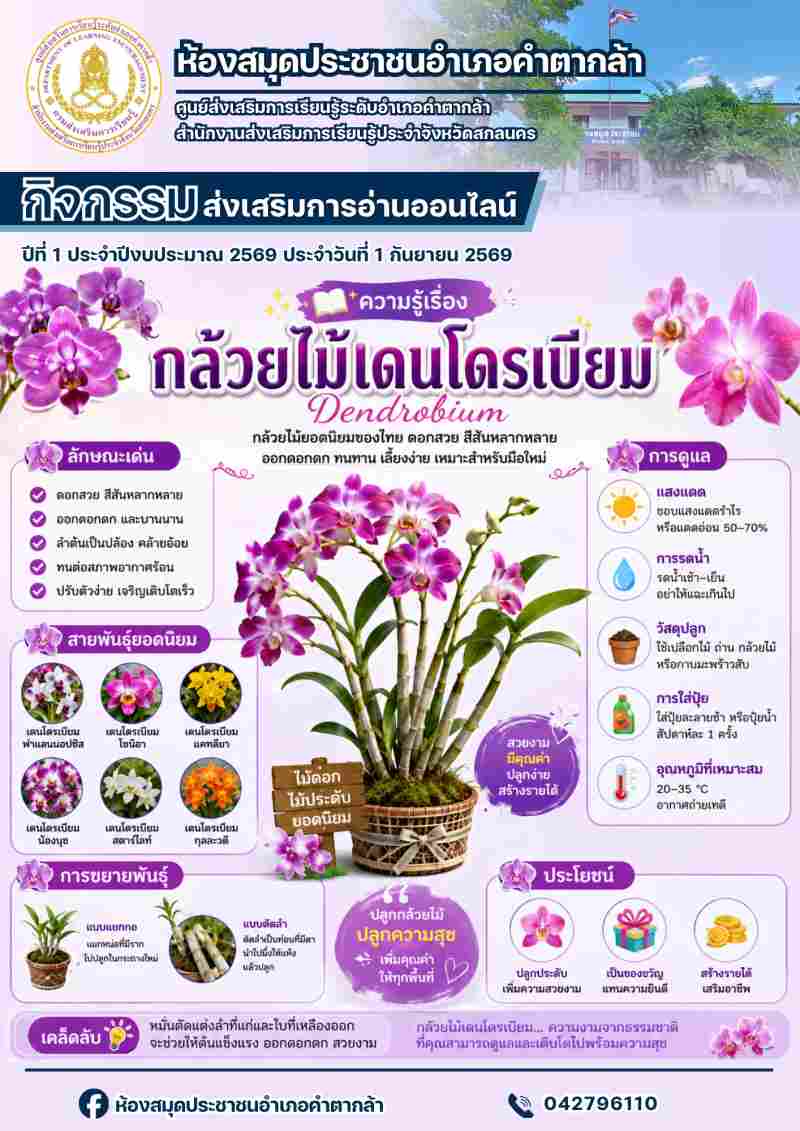 กล้วยไม้เดนโดรเบียม