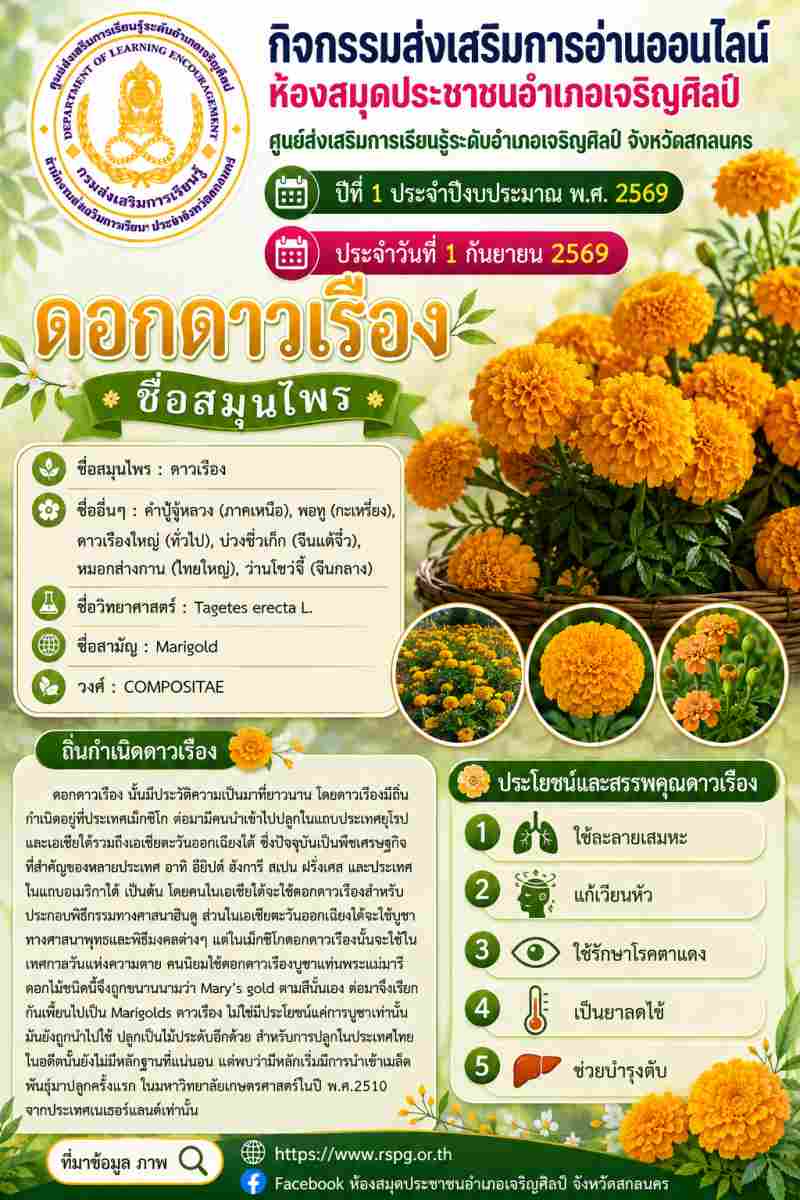 🌼 สีเหลืองสดใส ทรงคุณค่า! ทำความรู้จัก "ดอกดาวเรือง" ไม้ประดับ สมุนไพร และพืชเศรษฐกิจ 💛✨