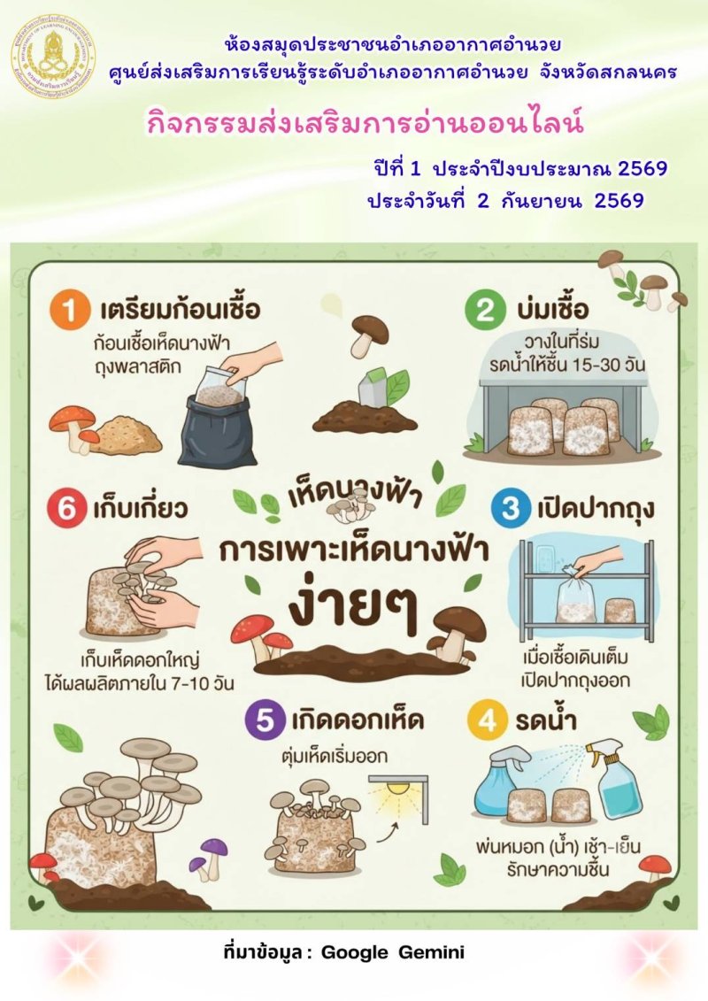 การเพาะเห็ดนางฟ้าง่ายๆ