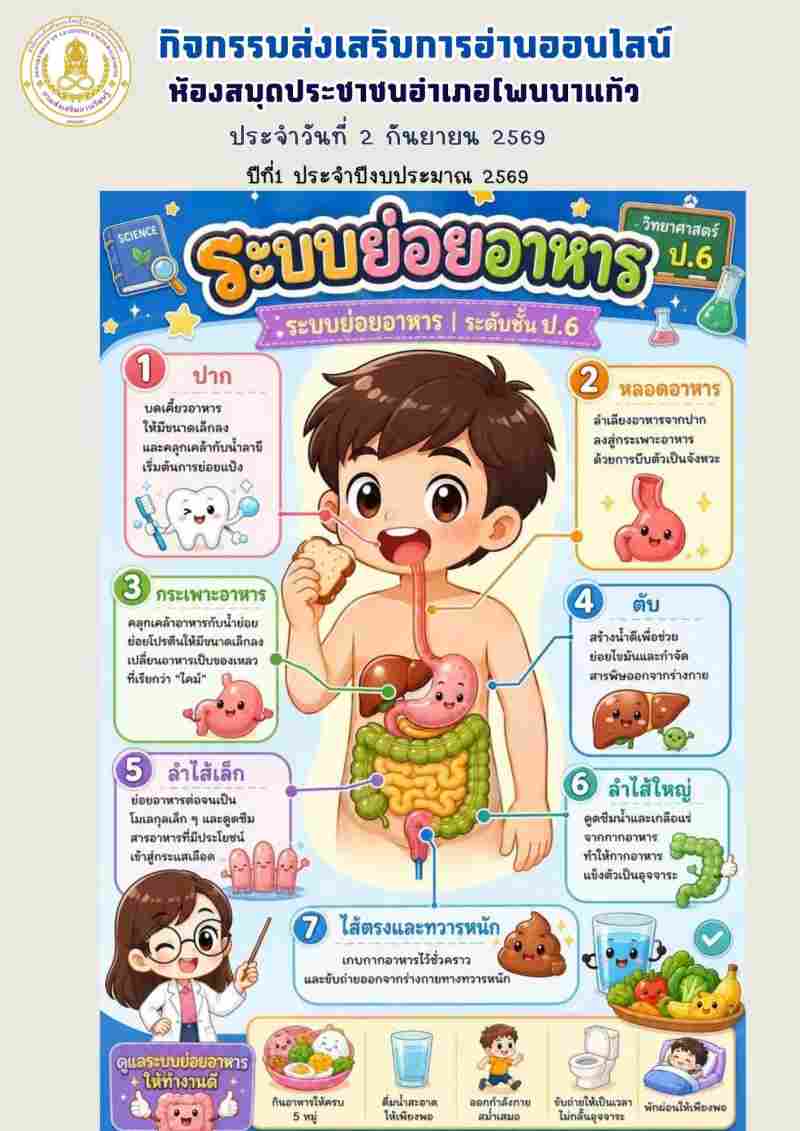 ระบบย่อยอาหาร