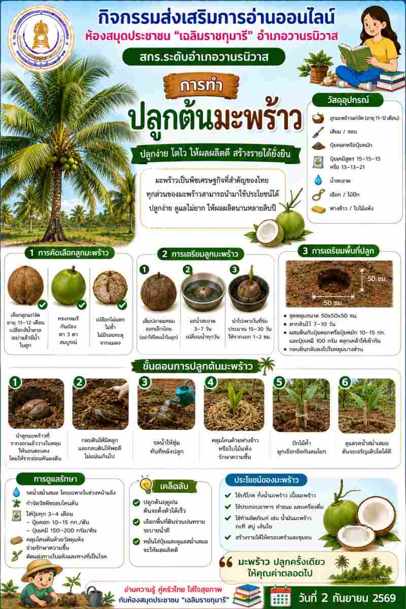 การปลูกต้นมะพร้าว
