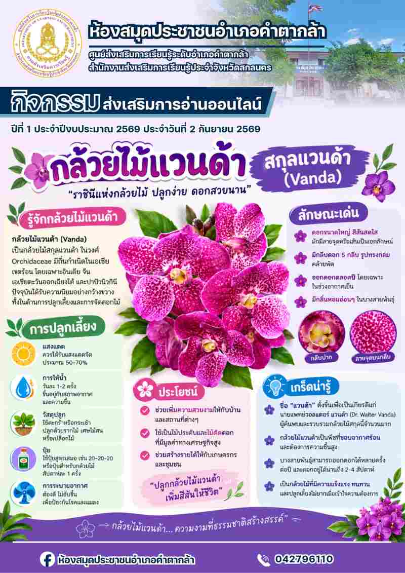 กล้วยไม้แวนด้า