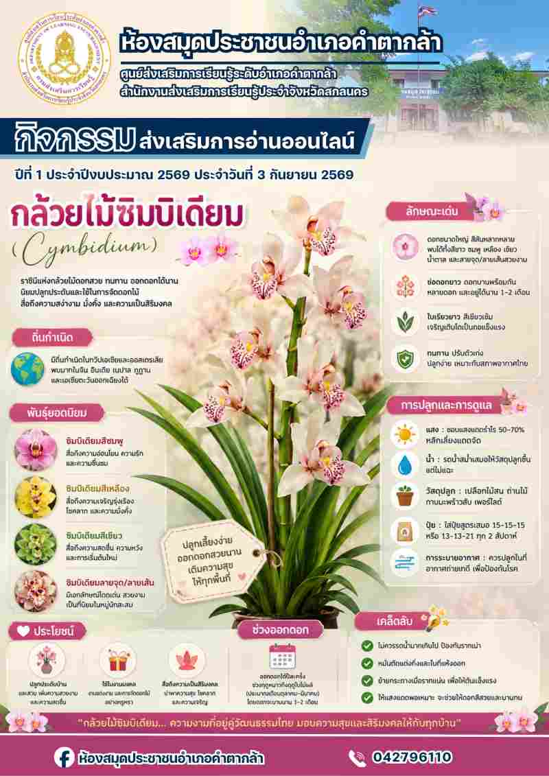กล้วยไม้ซิมบิเดียม (Cymbidium)