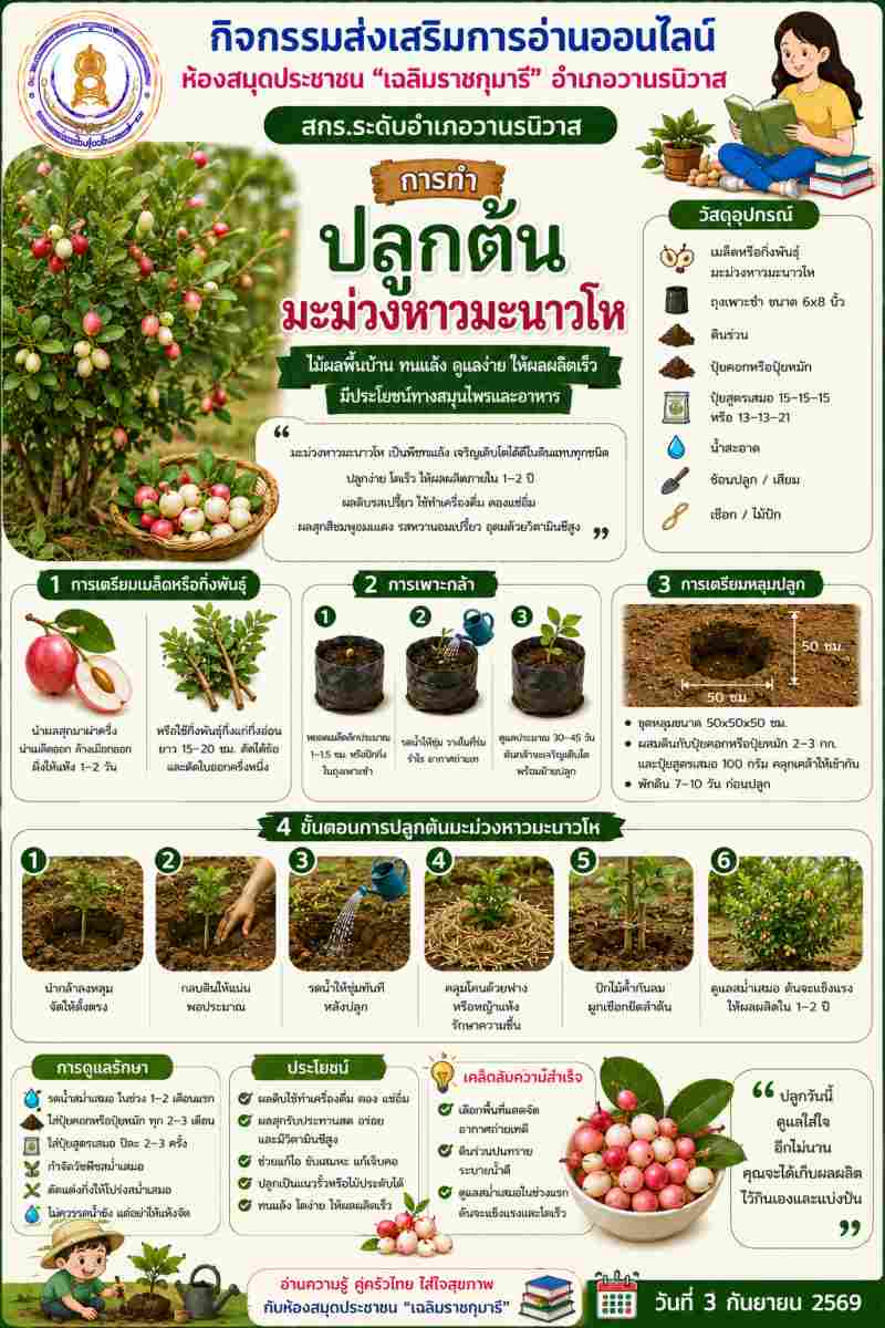 มะม่วงหาวมะนาวโห