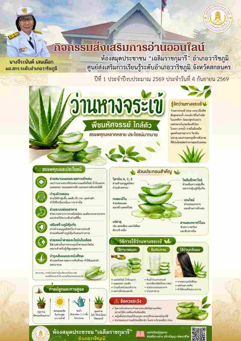 ว่านหางจระเข้ พืชมหัศจรรย์ใกล้ตัว สรรพคุณหลากหลาย ประโยชน์มากมาย