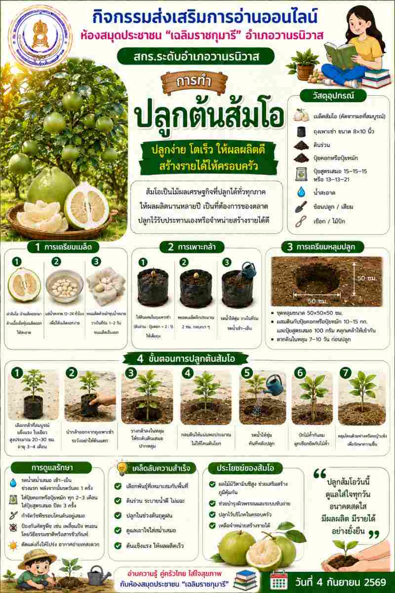 การปลูกต้นส้มโอ