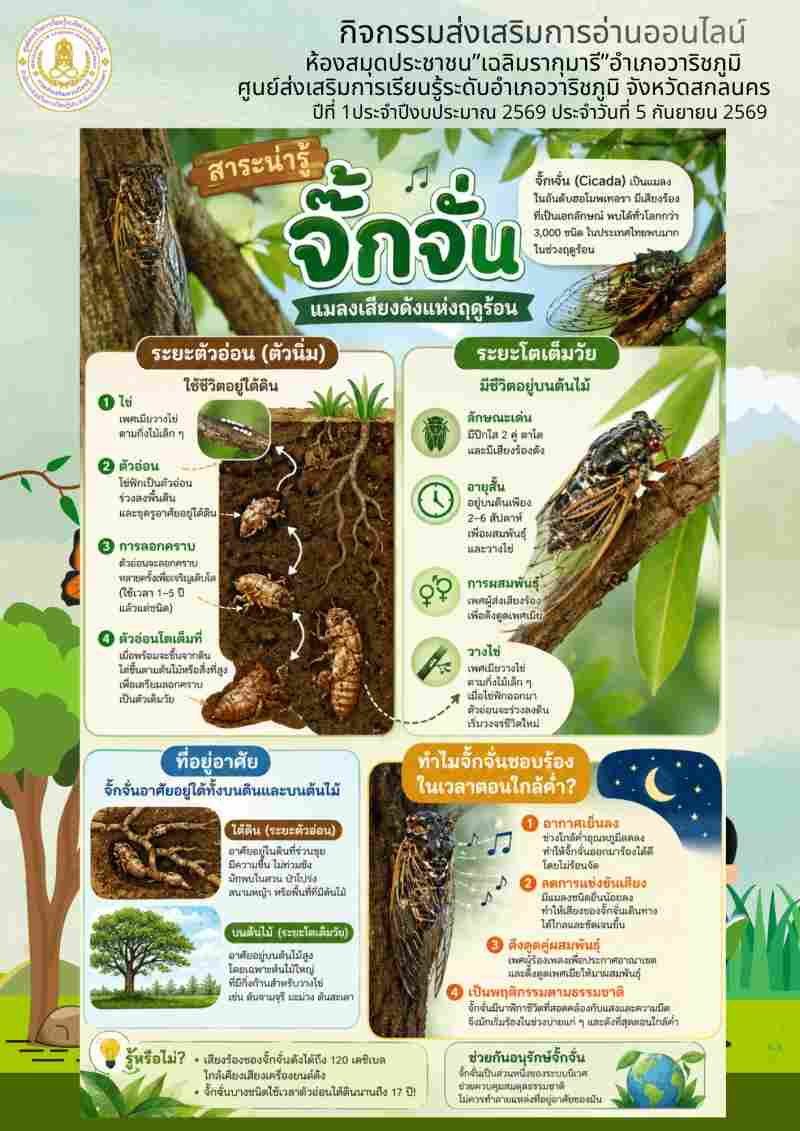 สาระน่ารู้จั๊กจั่น แมลงเสียงดังแห่งฤดูร้อน