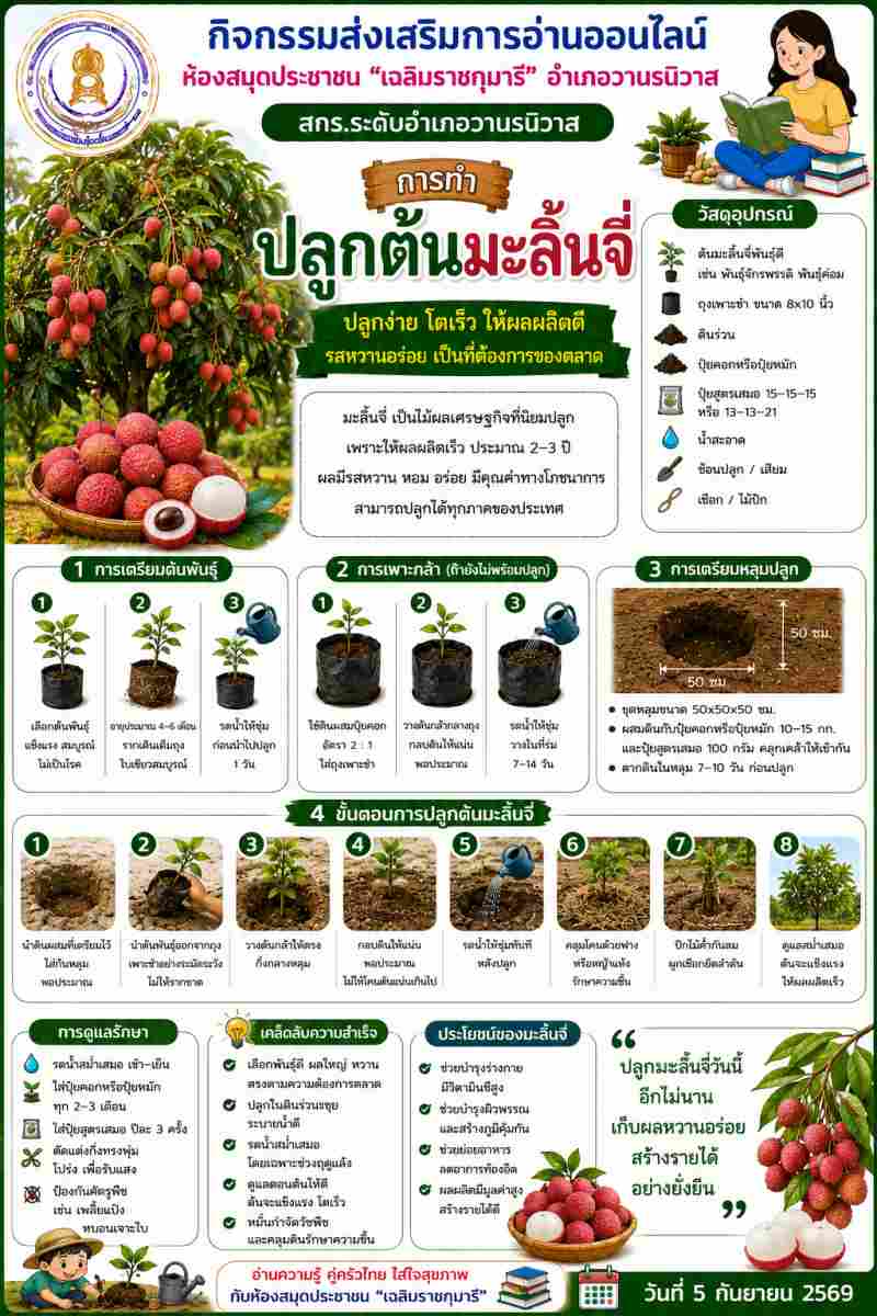 การปลูกต้นลิ้นจี่