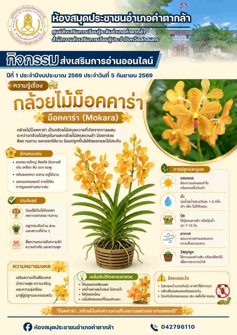 กล้วยไม้ม็อคคาร่า (Mokara)