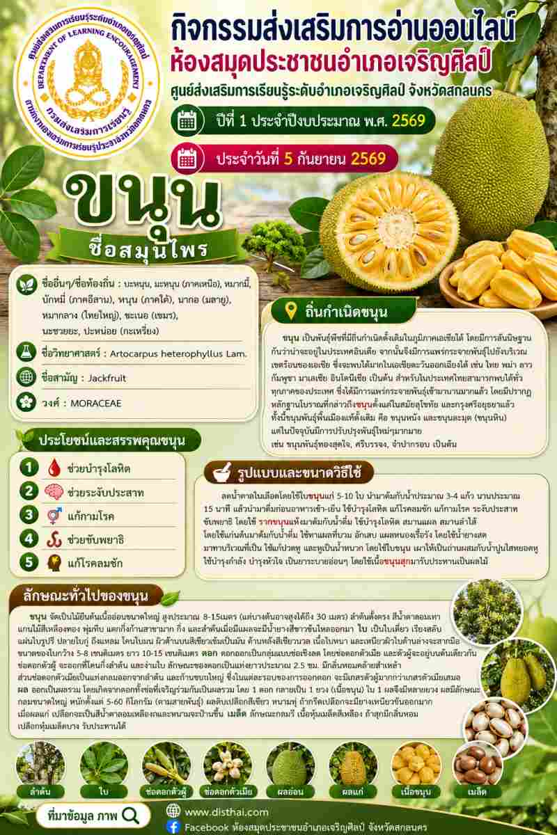 🍈 หวานฉ่ำ ประโยชน์ล้น! ทำความรู้จัก "ขนุน" ผลไม้มงคลและสมุนไพรบำรุงร่างกาย 💛✨