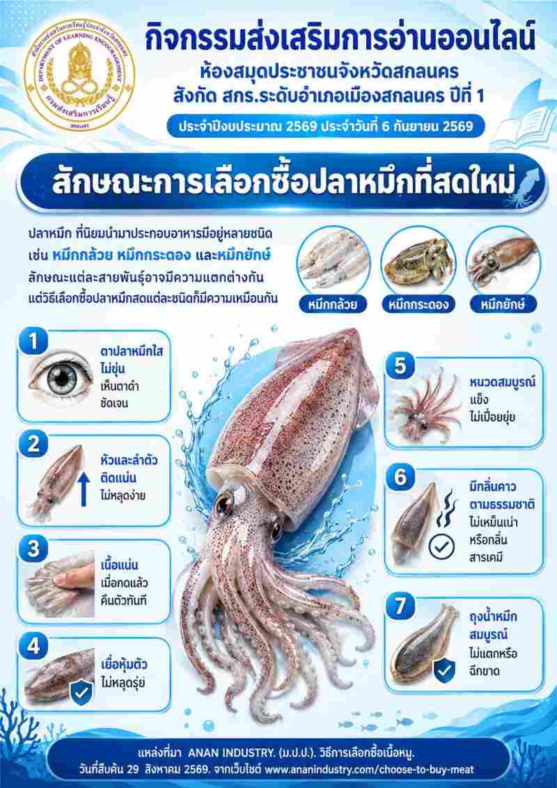 ลักษณะการเลือกชื้อปลาหมึกที่สดใหม่