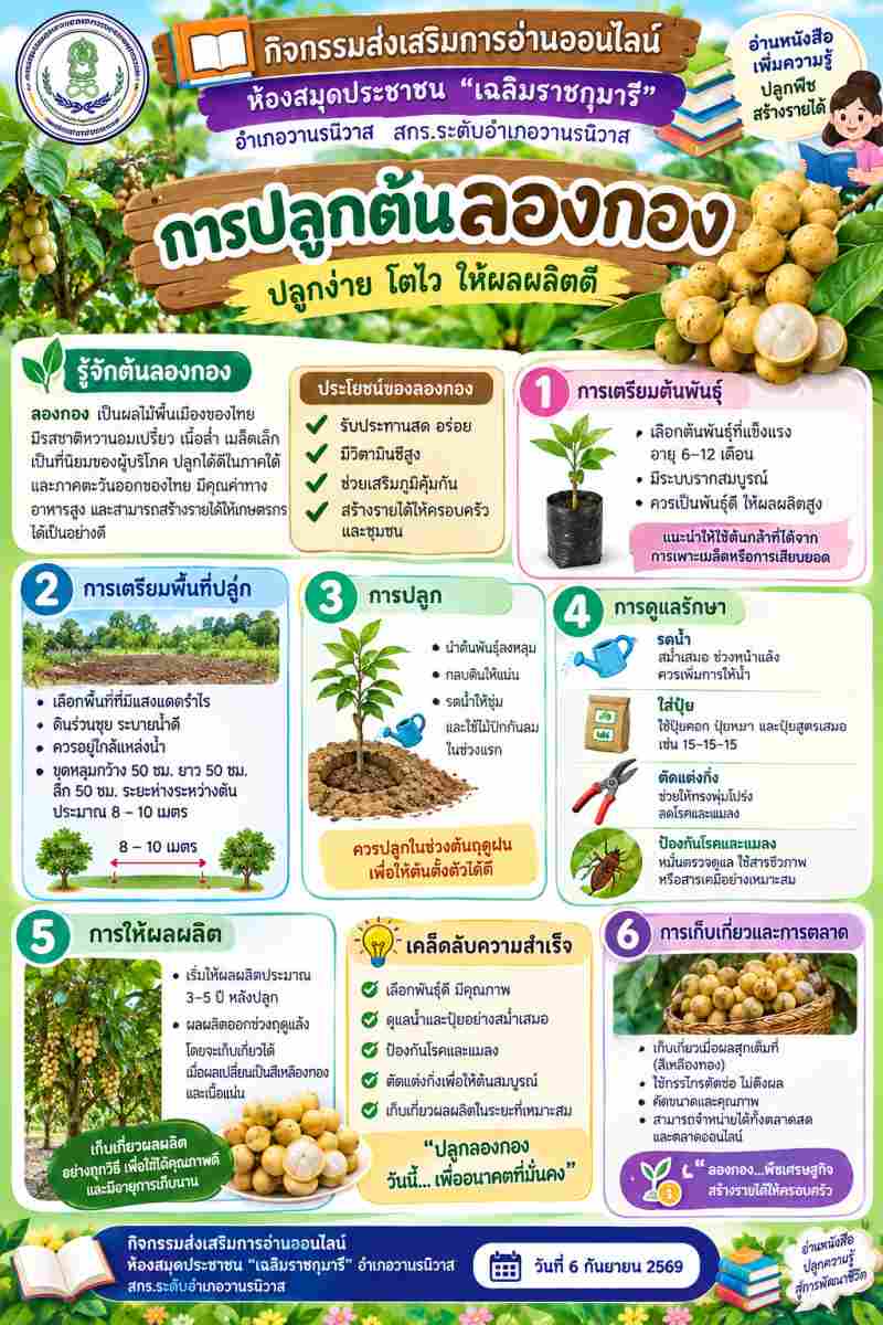 การปลูกต้นลองกอง