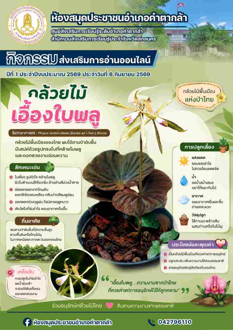 กล้วยไม้เอื้องใบพลู
