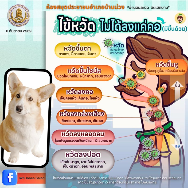 ไข้หวัด ไม่ได้ลงแค่คอ