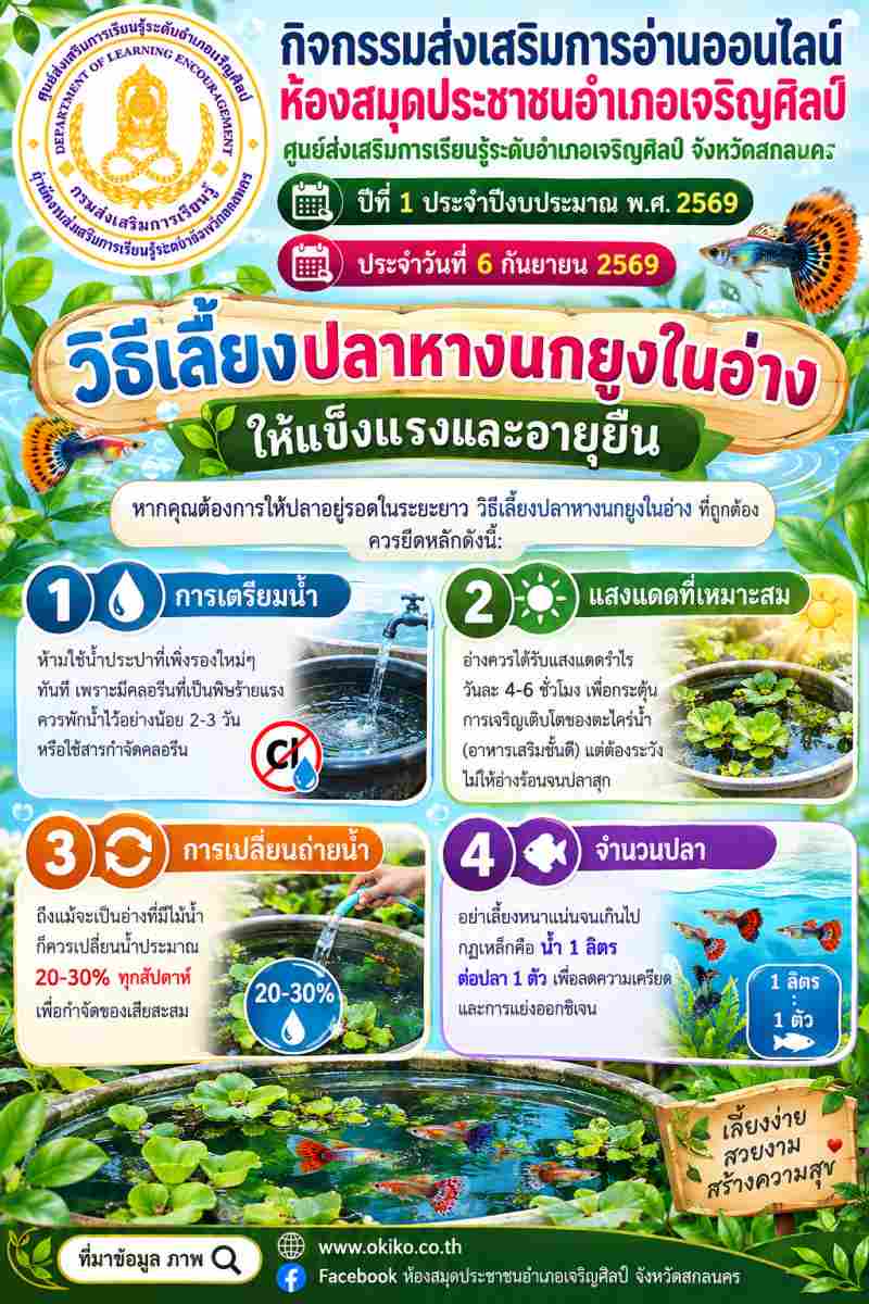🐟 เลี้ยงง่าย สวยงาม สร้างความสุข! "วิธีเลี้ยงปลาหางนกยูงในอ่าง" ให้แข็งแรงและอายุยืน 💦✨