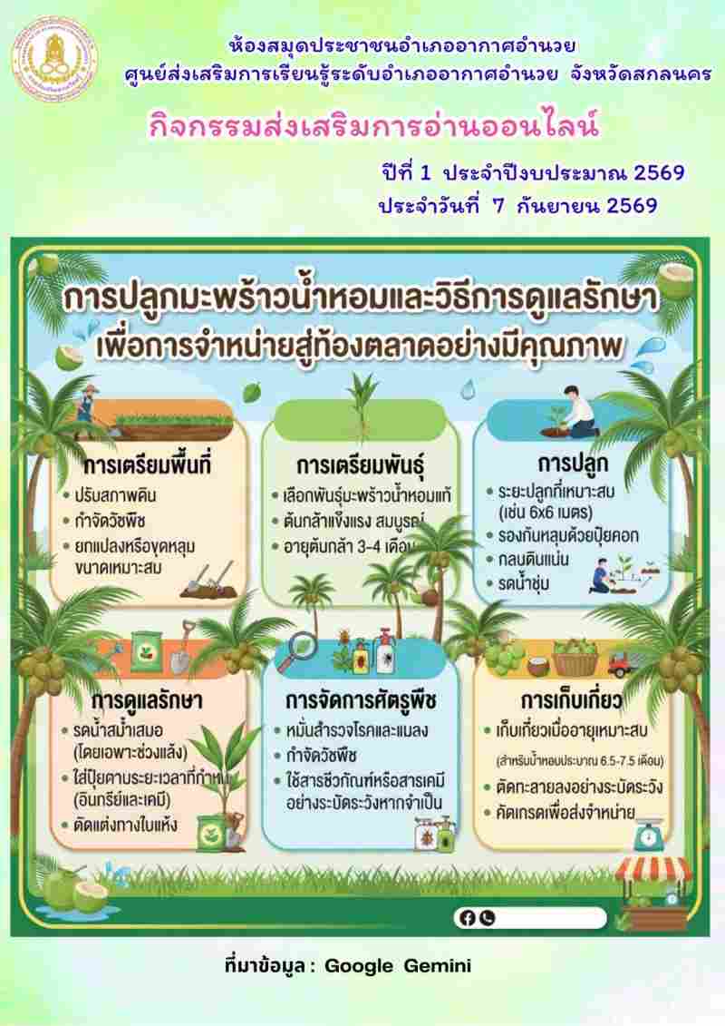 การปลูกมะพร้าวน้ำหอมและวิธีการดูแลรักษาเพื่อการจำหน่ายสู่ท้องตลาดอย่างมีคุณภาพ
