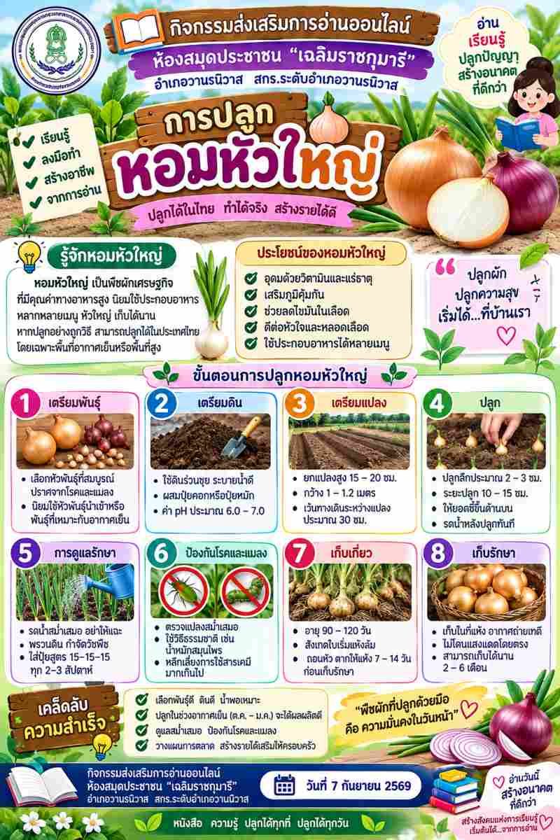 การปลูกหอมหัวใหญ่