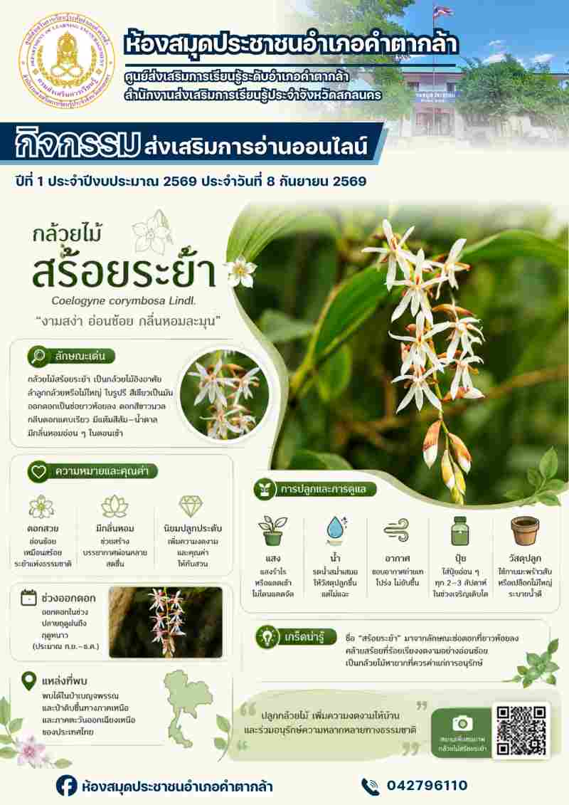 กล้วยไม้สร้อยระย้า