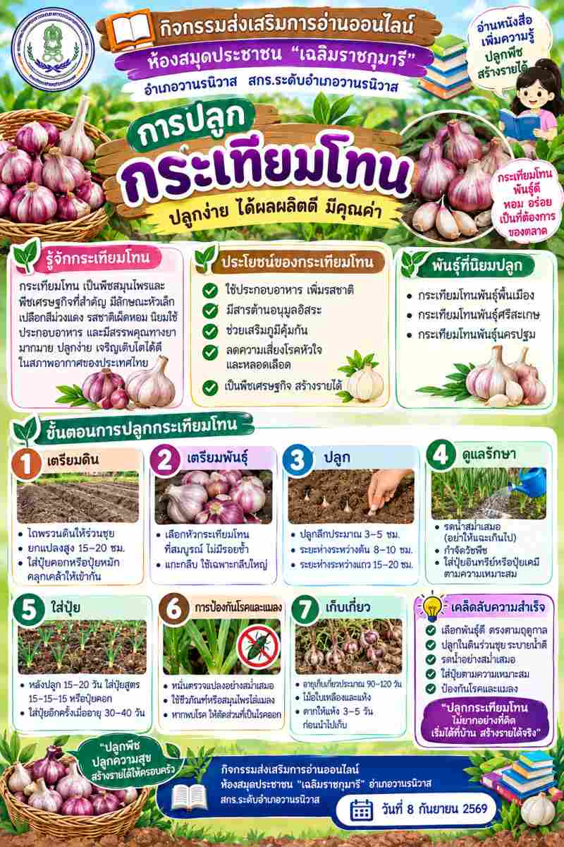 การปลูกกระเทียมโทน