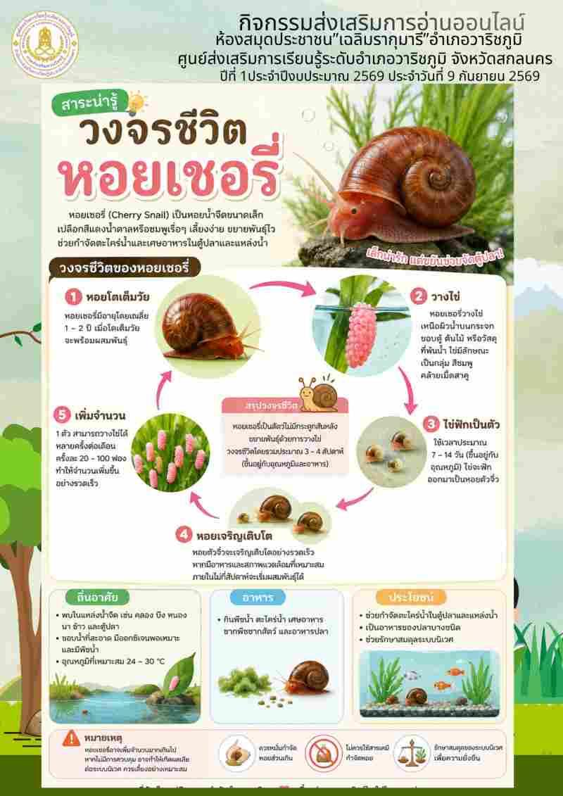 สาระน่ารู้วงจรชีวิตหอยเชอรี่