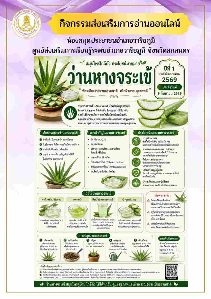 ว่านหางจระเข้ สมุนไพรใกล้ตัว ประโยชน์มากมาย