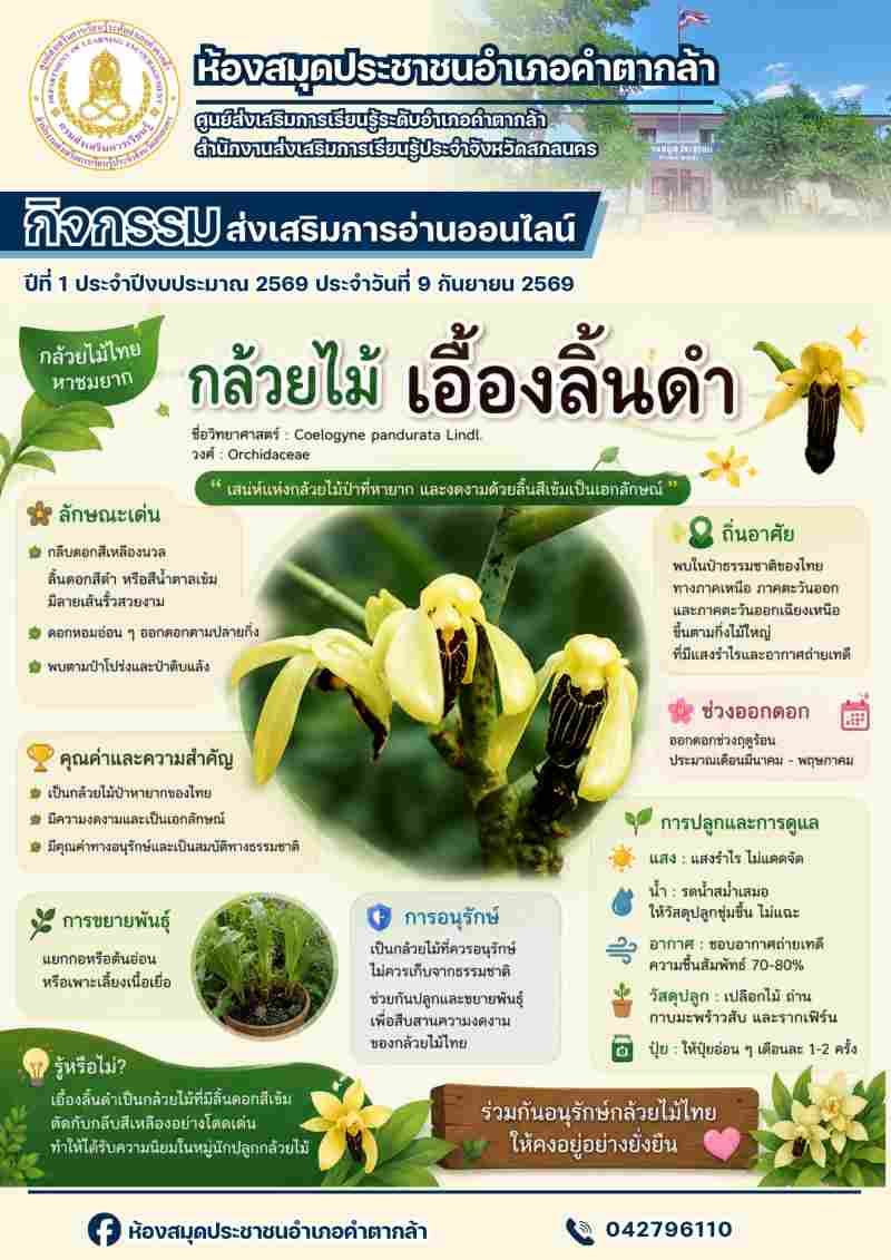 กล้วยไม้เอื้องลิ้นดำ
