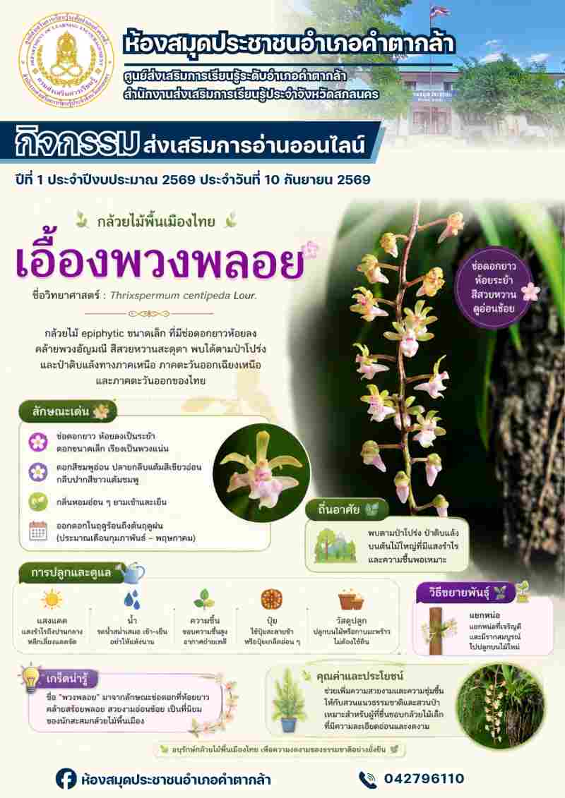 กล้วยไม้เอื้องพวงพลอย