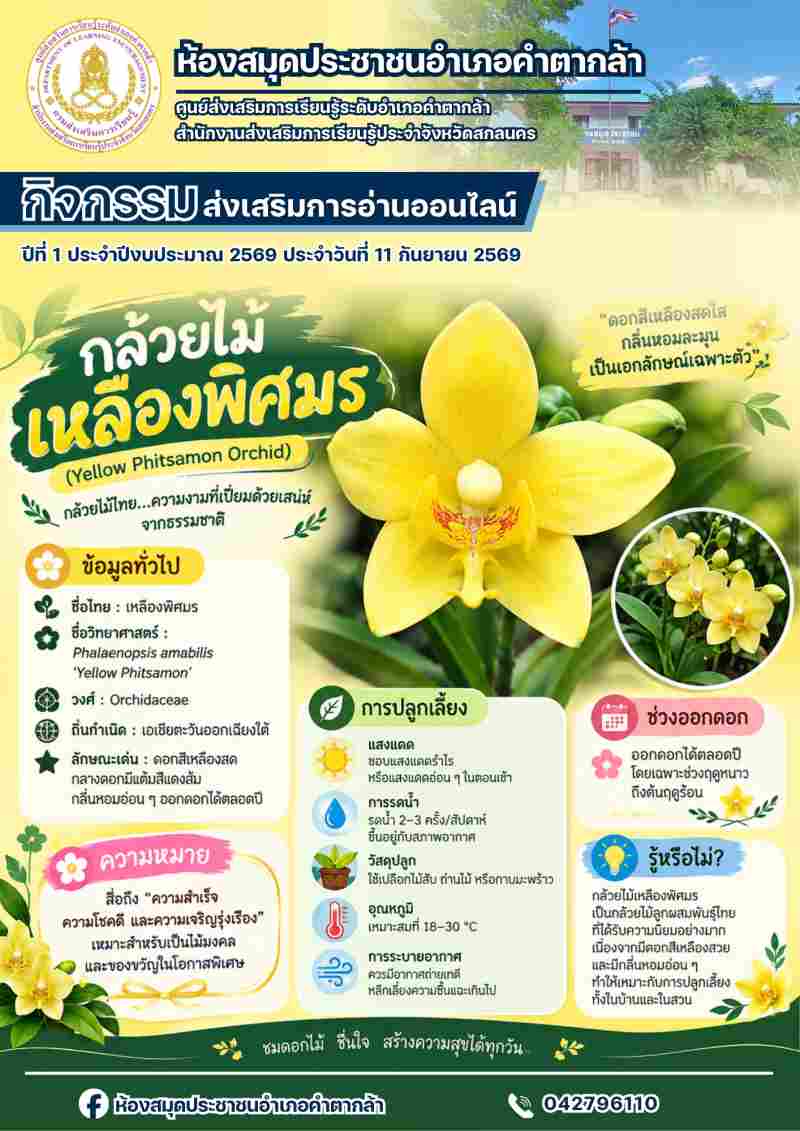 กล้วยไม้เหลืองพิศมร