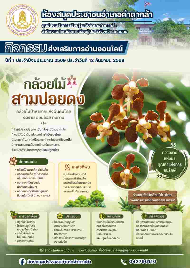 กล้วยไม้สามปอยดง