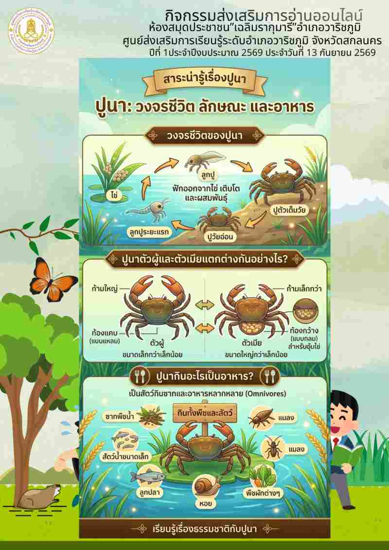 สาระน่ารู้เรื่องปูนา วงจรชีวิต ลักษณะ และอาหาร