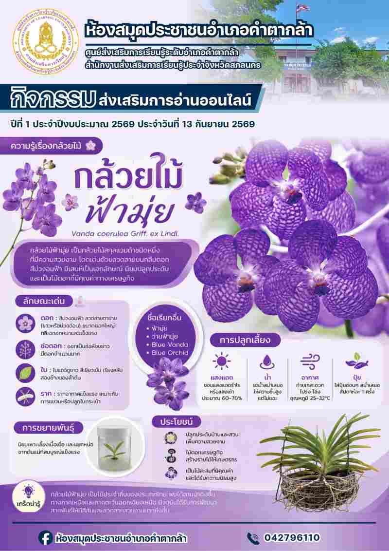 กล้วยไม้ฟ้ามุ่ย