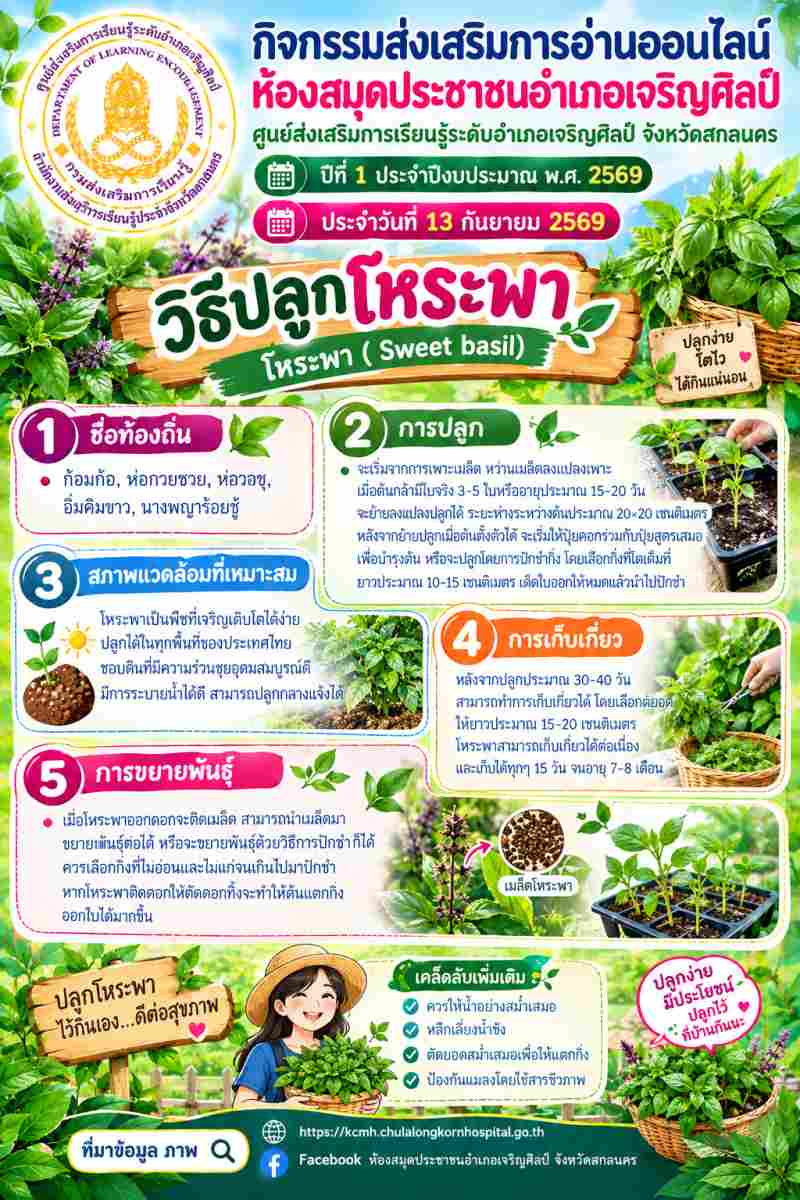 🌿 ปลูกง่าย โตไว ได้กินแน่นอน! เคล็ดลับ "วิธีปลูกโหระพา" ผักสวนครัวกลิ่นหอม สุขภาพดี 🪴✨