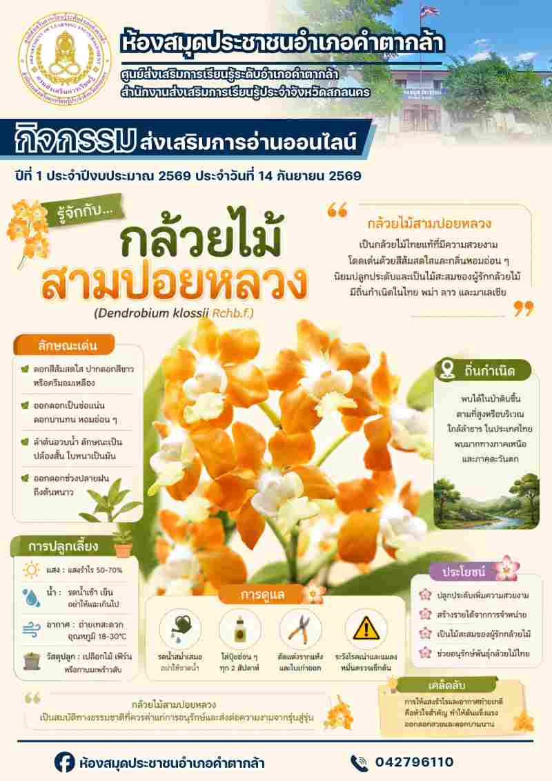กล้วยไม้สามปอยหลวง