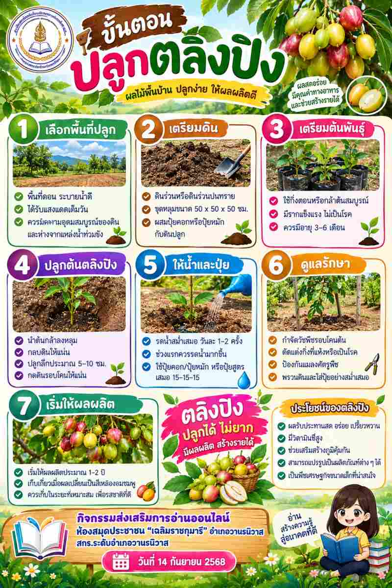 การปลูกตลิงปิง